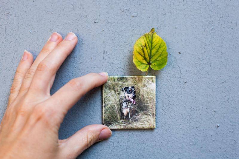 Custom Photo Magnets